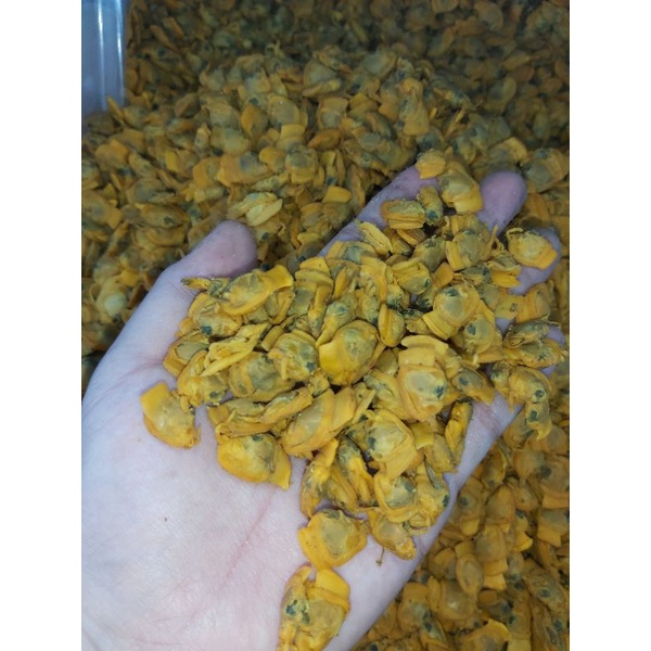 Jual kerang Asin kupah 1kg | Shopee Indonesia