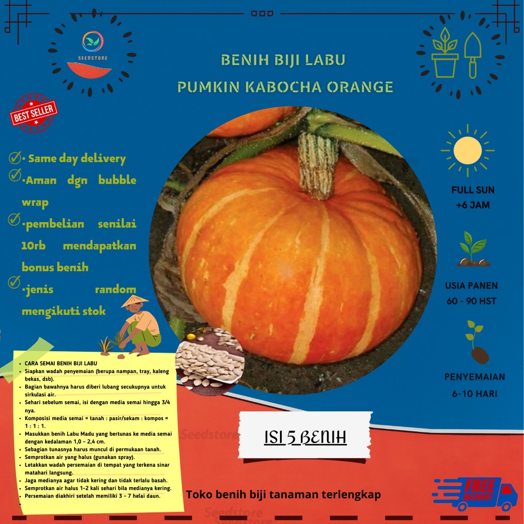 Jual 5 Benih Labu Labu Pumkin Kabocha Orange Shopee Indonesia 