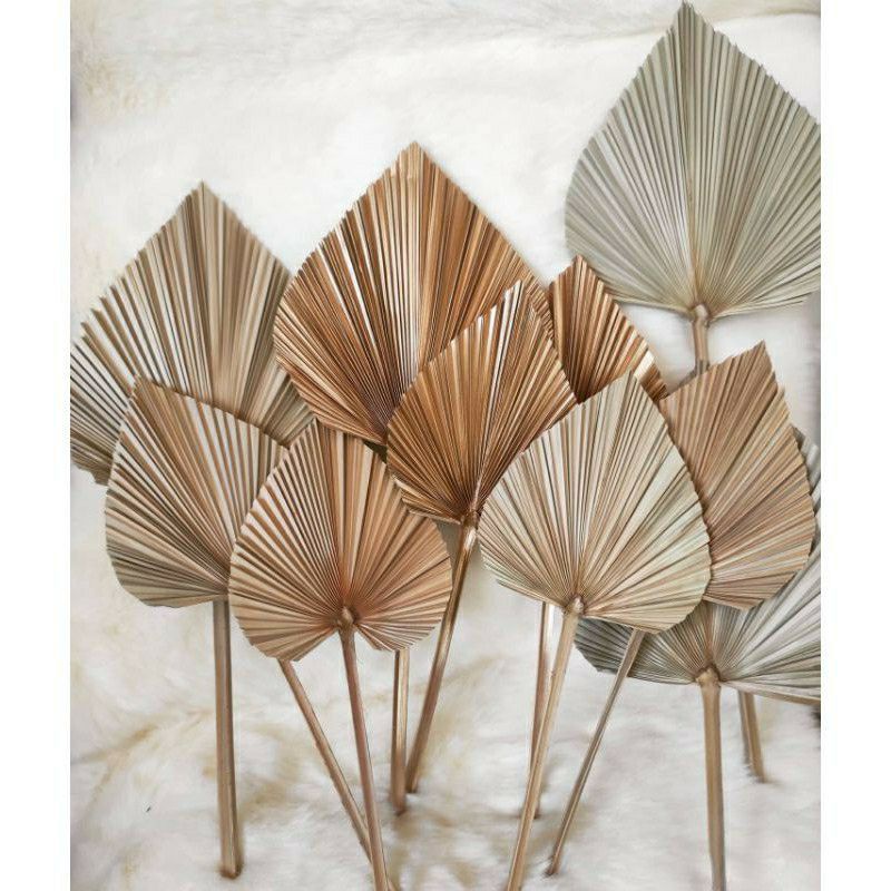 Jual Mini Palem Hiasan Vas Guci Buket Bunga Kering Dried Flowers