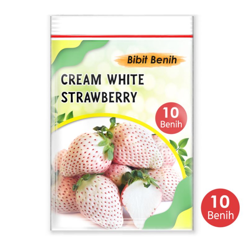 Nada fast benih jaya - Benih strawberry cream white 10 biji / bibit biji strawberry putih
