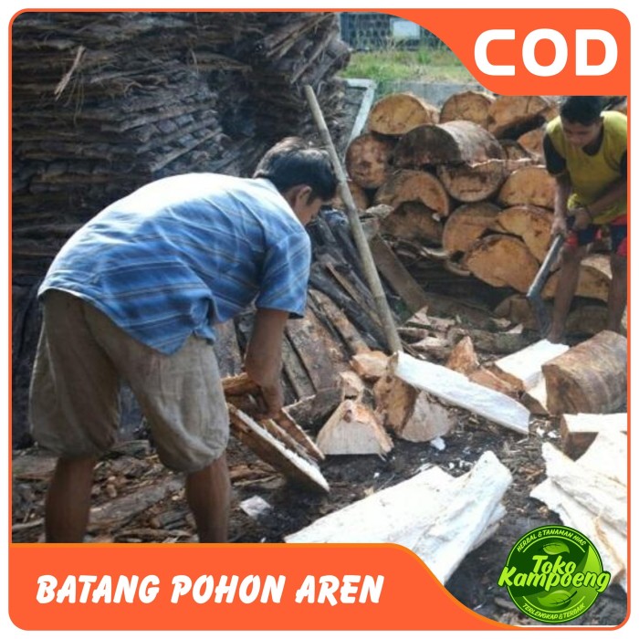 Jual Belahan Kayu Ruyung atau batang kayu pohon aren kuat - 10cm ...