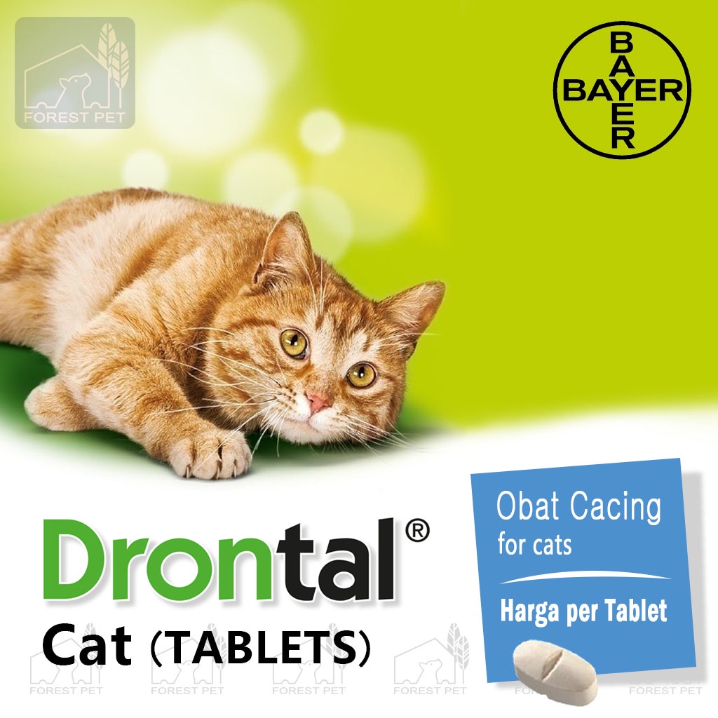 Jual Drontal Cat / Obat Cacing Kucing / Harga Per Tablet | Shopee Indonesia