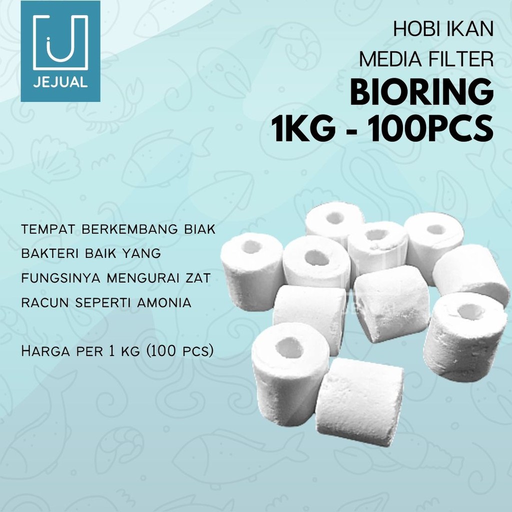 Jual BIO RING Bioring 1kg 2cm /+ 100pcs Media FIlter Keramik/Ceramic