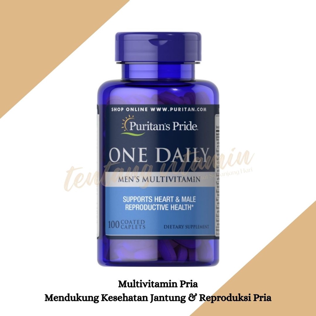 Jual Puritan's Pride One Daily Men's Multivitamin 100 Caplets untuk