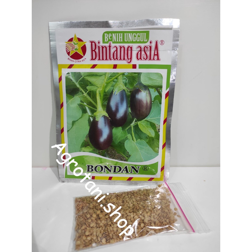 Jual Benih Terong Pondoh Ungu Bondan Kemasan Repack Bintang Asia