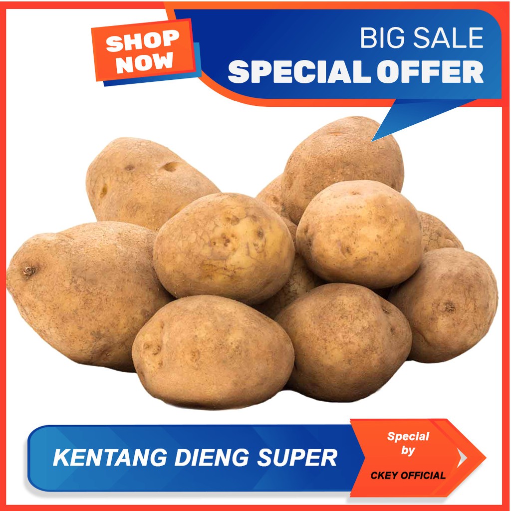 Jual Kentang Dieng Super Bawang Merah Kentang Ckey Official Shopee