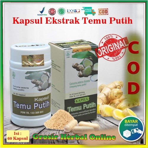 Jual Temu Putih 60 Kapsul Tazakka | Shopee Indonesia