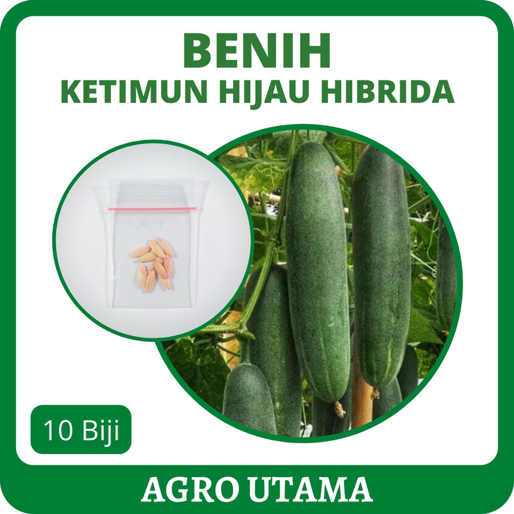 Jual 10 Benih Ketimun Hijau Hibrida | Shopee Indonesia