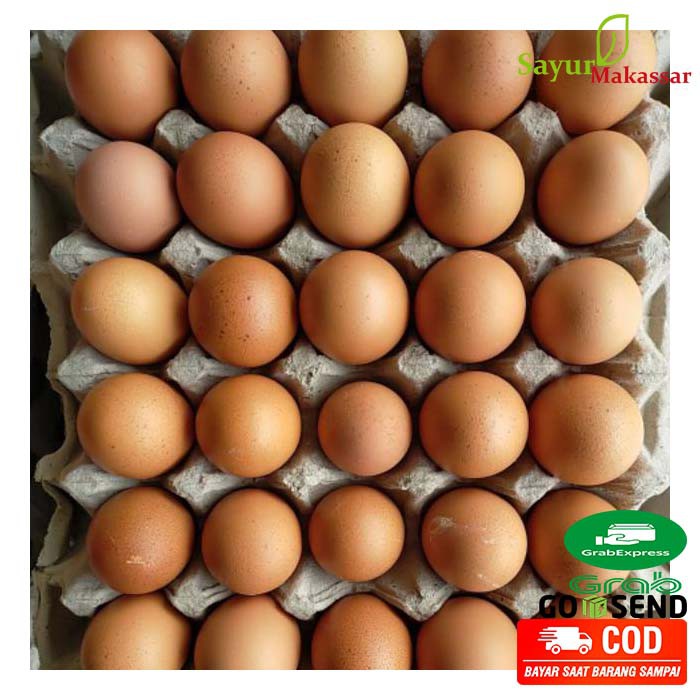 Jual Harga Telur 1 Rak Terlengkap & Harga Terbaru Juli 2026 | Shopee ...