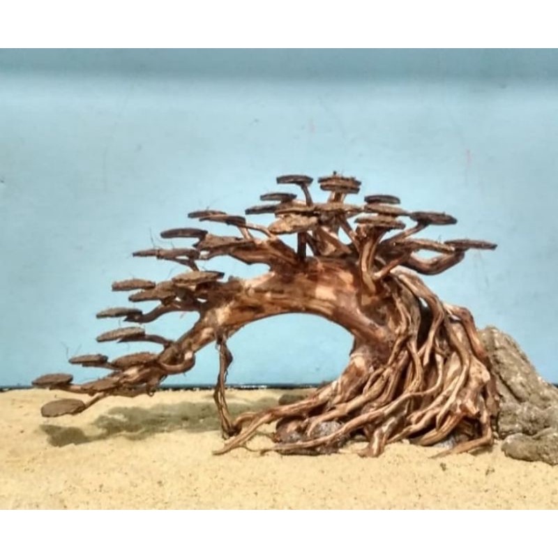 Jual bonsai aquascape treeDW 40cm Shopee Indonesia
