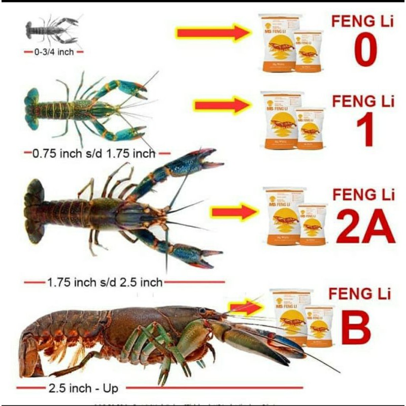 Jual pelet tenggelam fengli 0 kemasan pelet lobster pelet udang pelet ...