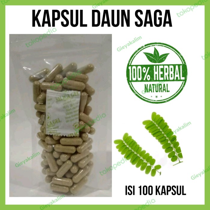 Jual Kapsul Daun Saga Murni Isi 100 Untuk Obat Batuk Dan Panas Dalam