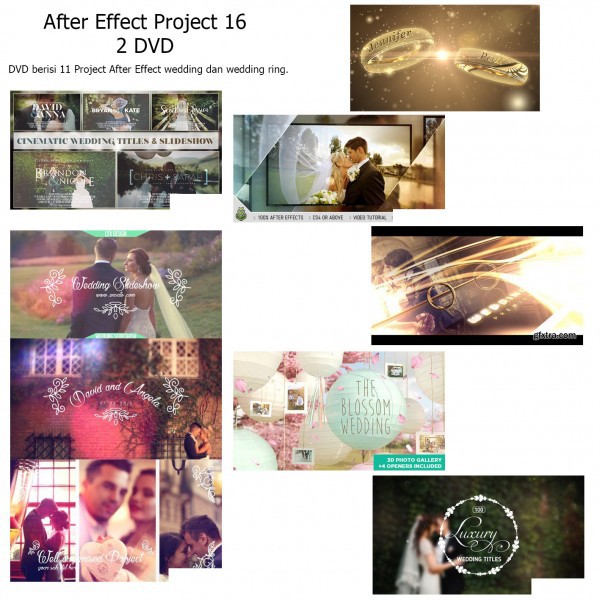Jual AEP16 After Effect Project19 - 2 DVD | Shopee Indonesia