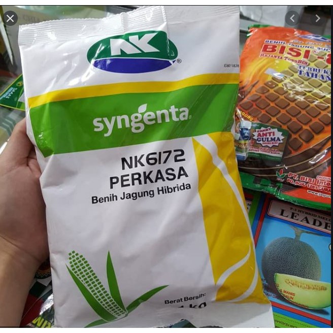 Jual Benih Jagung Hibrida NK 6172 PERKASA 1 Kg | Shopee Indonesia