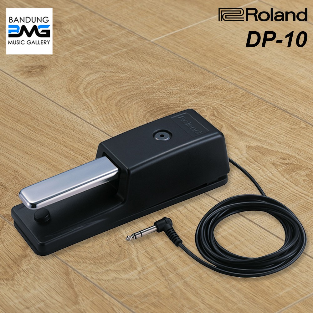 Pedale Sustain Roland DP-10 - Per Pianoforti Digitali E Tastiere, Colore Multicolore