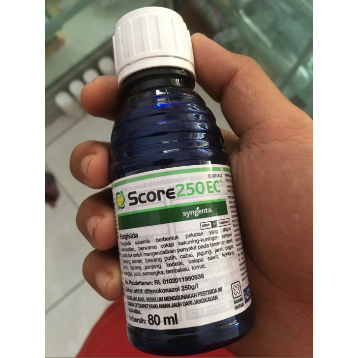 Jual FUNGISIDA Score 250 EC - 80 ml UNTUK MEMBUAT GABAH LEBIH BENING ...