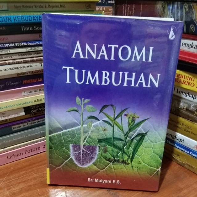 Jual Anatomi Tumbuhan - Sri Mulyani E. S. | Shopee Indonesia