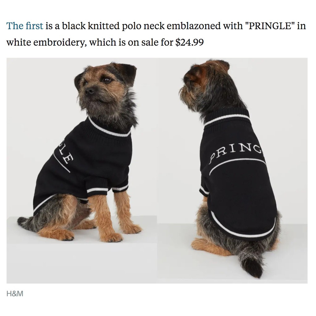 H and m dog hot sale sweater