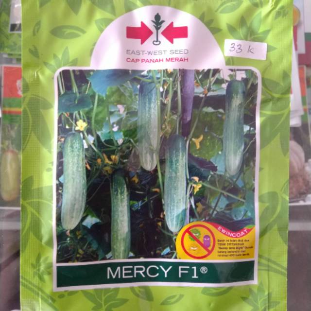 Jual Benih timun mercy f1 panah merah | Shopee Indonesia