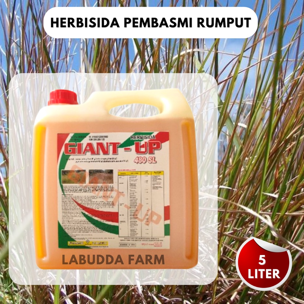 Jual Racun Rumput Herbisida Giant Up 480 Sl Herbisida Rumput Kemasan