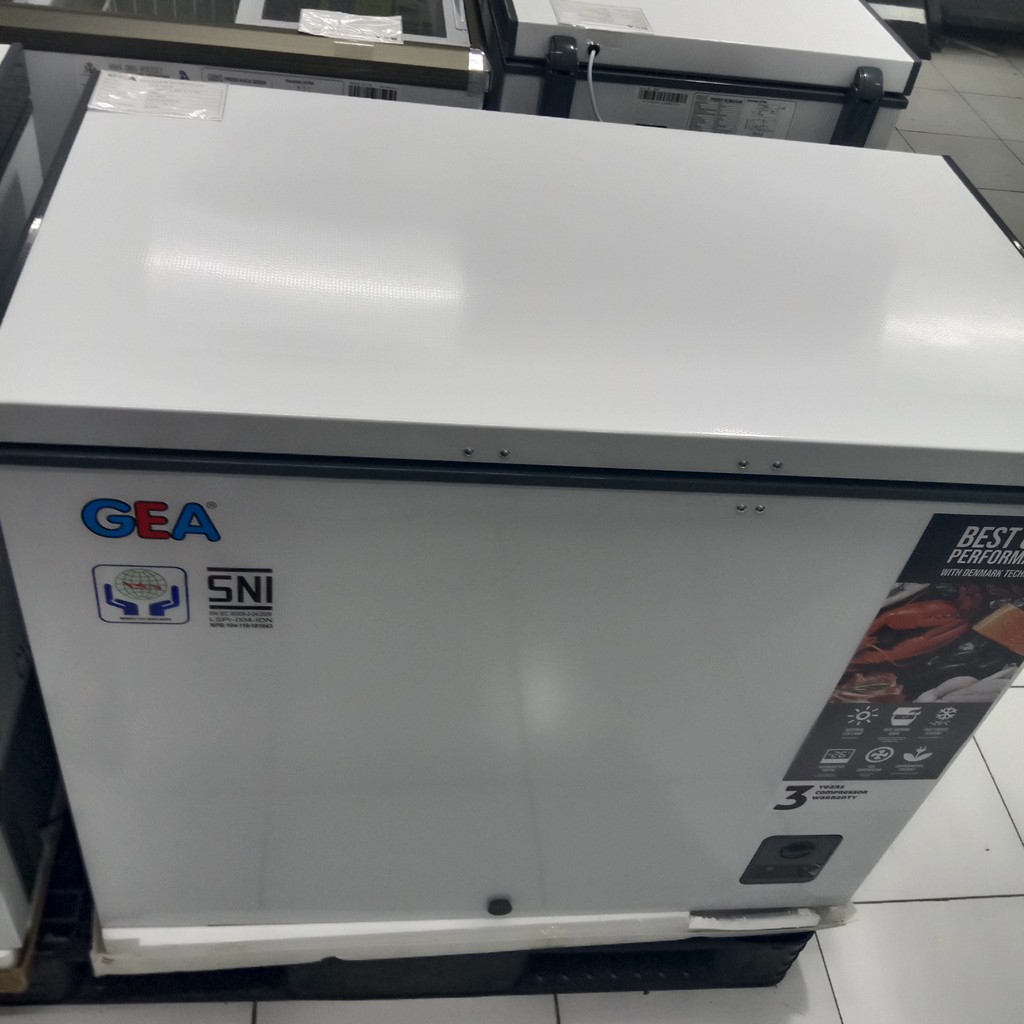 Freezer 200 deals liter gea