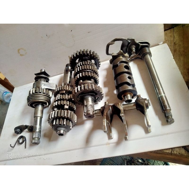 Jual Rasio Tiger Revo original copotan tahun muda | Shopee Indonesia