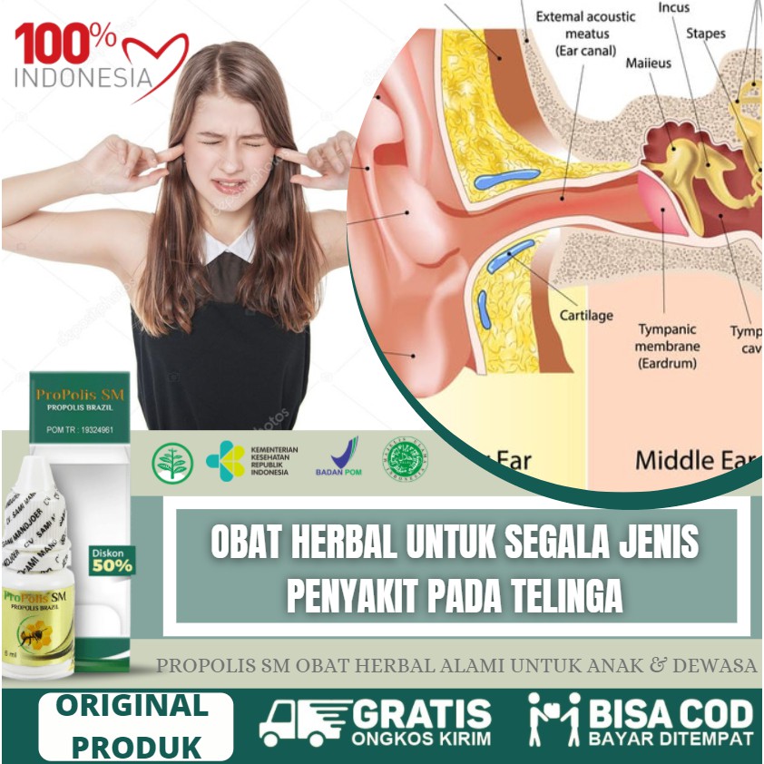 Jual Obat Sakit Telinga Tinnitus Telinga Bernanah Berair Curek Bau