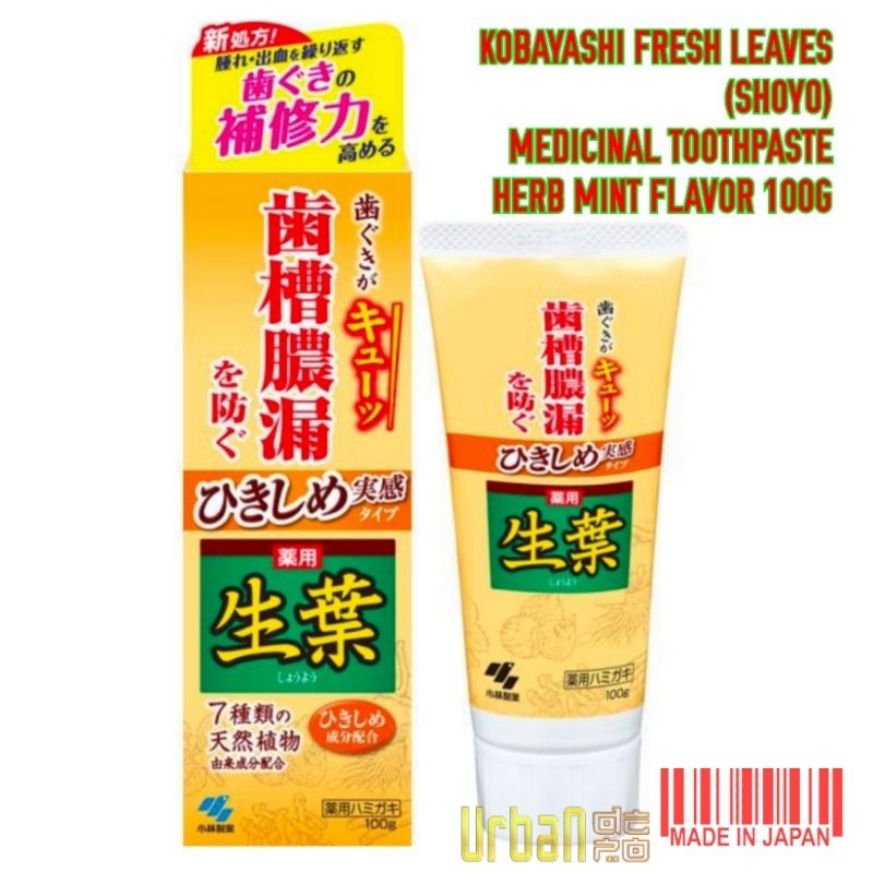 Jual Kobayashi Fresh Leaves (Shoyo) Medicinal Toothpaste Herb Mint ...