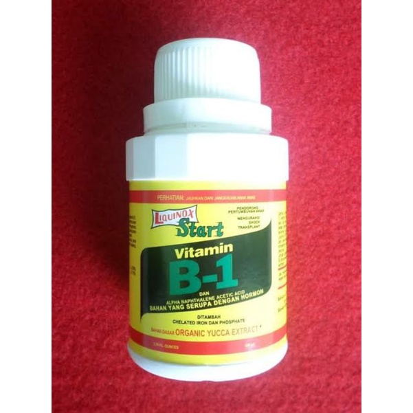 Jual Liquinox Vitamin B-1 | Shopee Indonesia