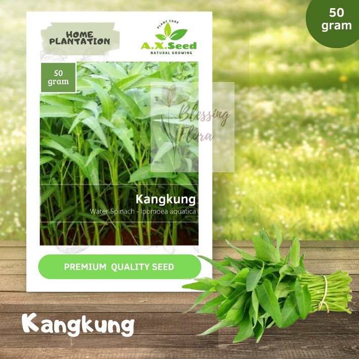 Benih Bibit Kangkung - AX Seed