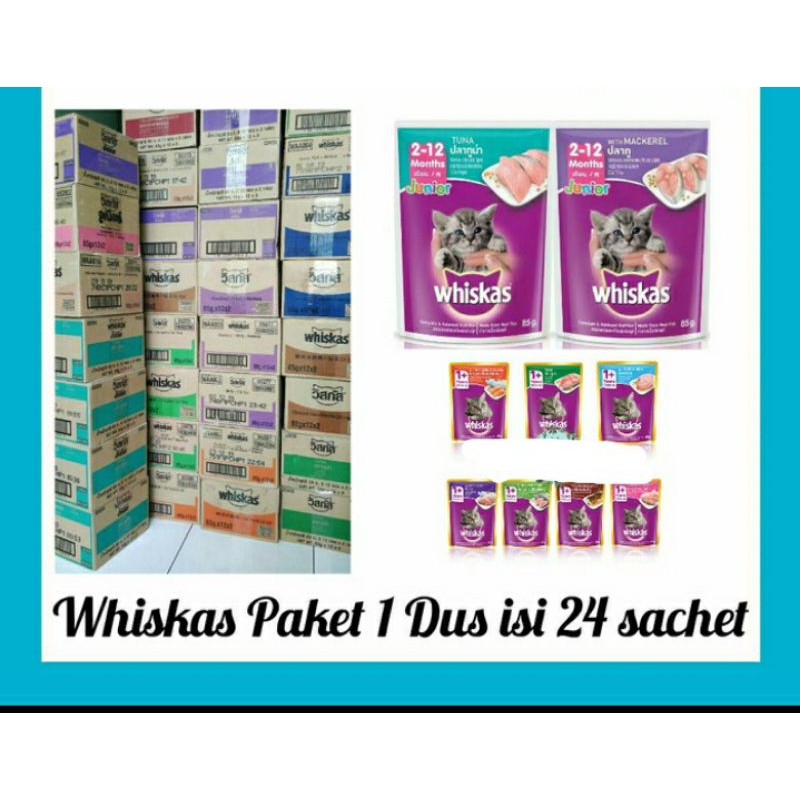 Jual whiskas basah junior 1 dus isi 28 pcs Shopee Indonesia