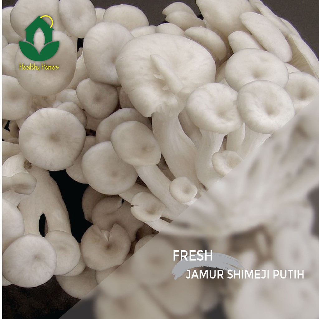 Jual Jamur Shimeji Putih Segar Jabodetabek Shopee Indonesia