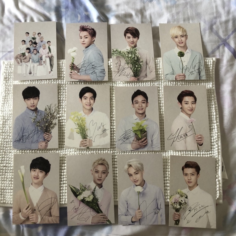 Jual EXO - OFFICIAL RARE LIMITED POSTCARD (NATURE REPUBLIC) | Shopee ...