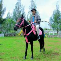 Jual Kurma Sukari di Medan