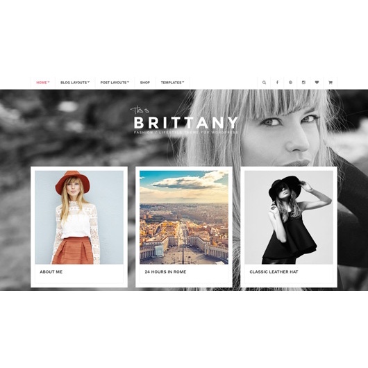 Jual CSS Igniter Brittany WordPress Theme - GPL | Shopee Indonesia