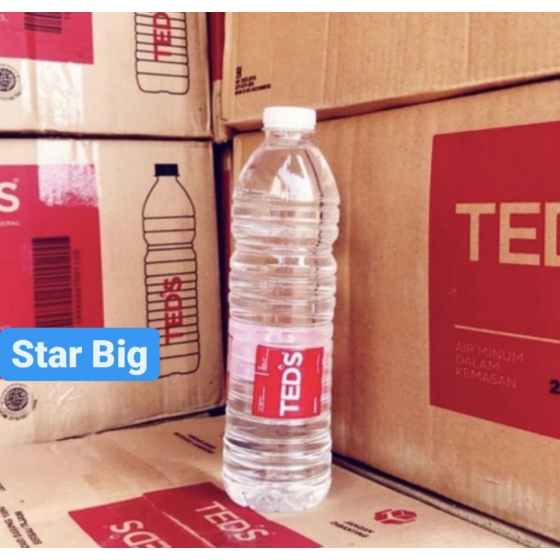 Jual Teds Air Mineral Botol 600ml KHUSUS GOJEK/GRAB | Shopee Indonesia
