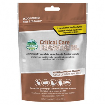 Beautiful view of Critical Care Guinea Pig Snack Options