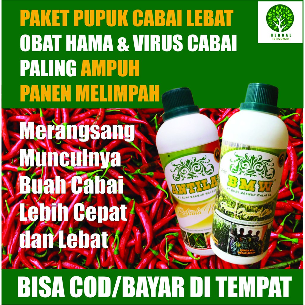 Jual Promo Paket Pupuk Organik Bmw Antilat Pestisida Terbaik Cabai Obat Cabe Dan Paket Pupuk