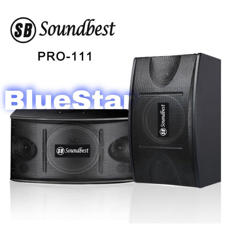 Jual Speaker Pasif Karaoke Soundbest PRO 111 Original 10 inch | Shopee ...