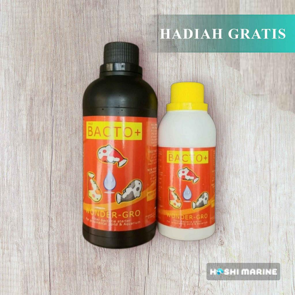 Jual Bacto 500 Ml Bakteri Starter Kolam Koi Shopee Indonesia