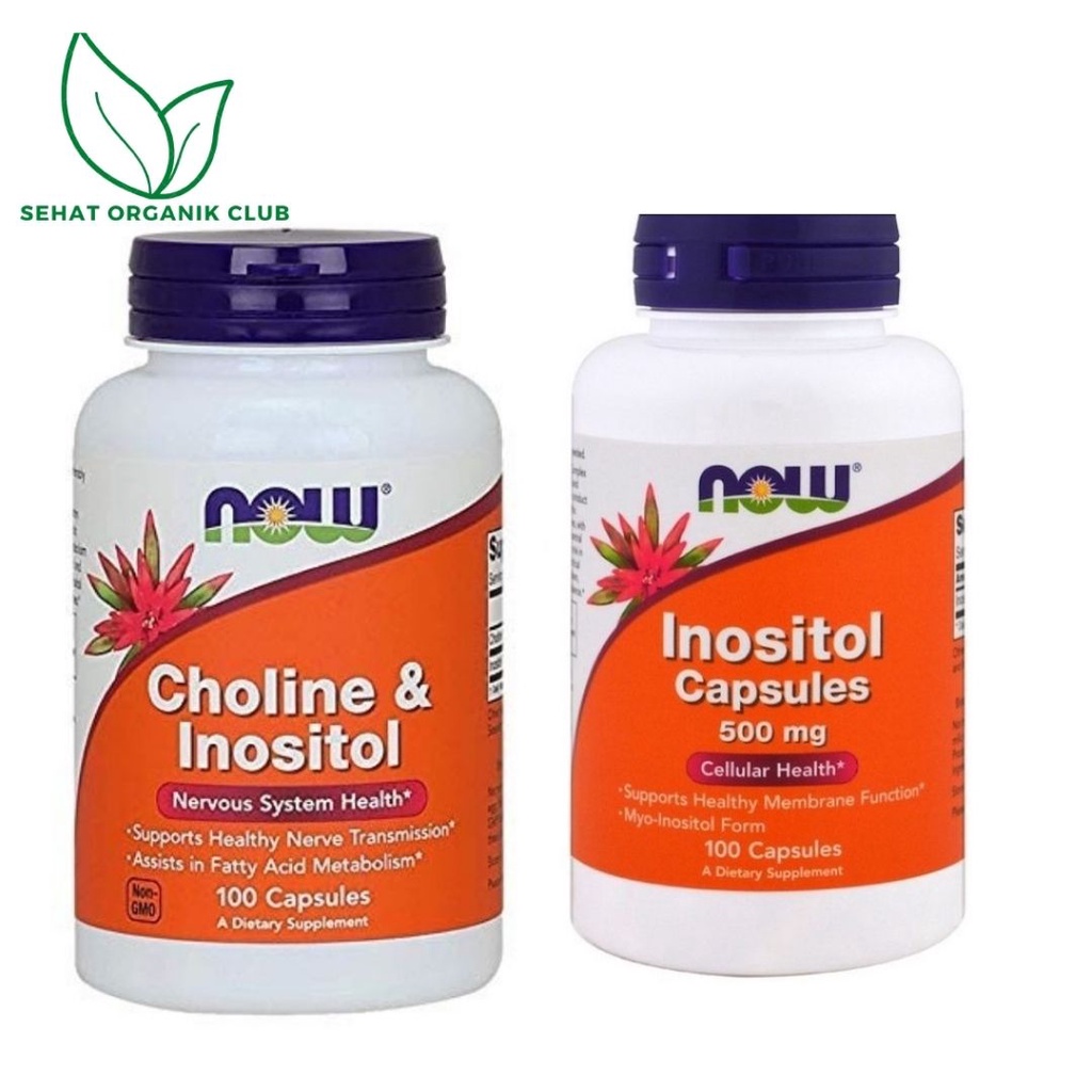 Jual Now Foods Food Choline & Inositol 500 mg 100 Capsules ; Now