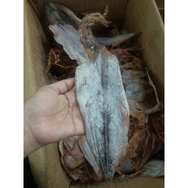 Jual Sotong Kering Pontianak (±250) Cumi Kering / CumiCumi / Jiu He