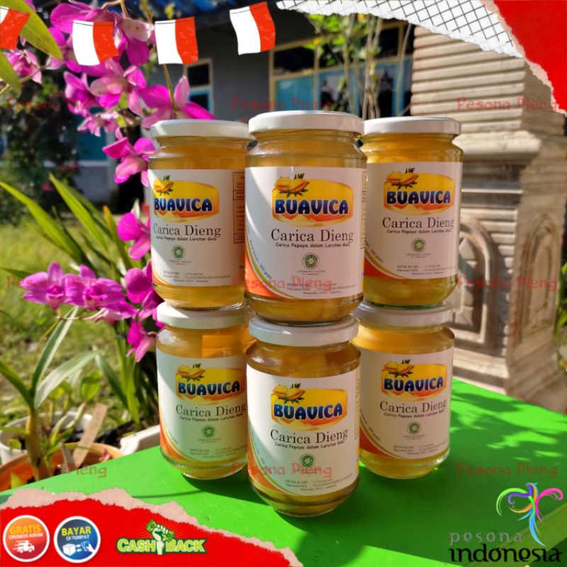 Jual Cod Sirup Carica Khas Dieng Wonosobo Kemasan Gelas Jumbo Enak