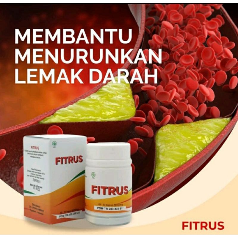 Jual FITRUS kapsul cacing premium halal BPOM herbal demam tipes maag ...