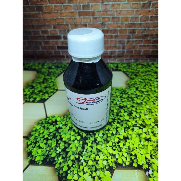 Jual LARUTAN REES ECKER 100 mL INDOREAGEN ( Pengencer Untuk Hitung ...