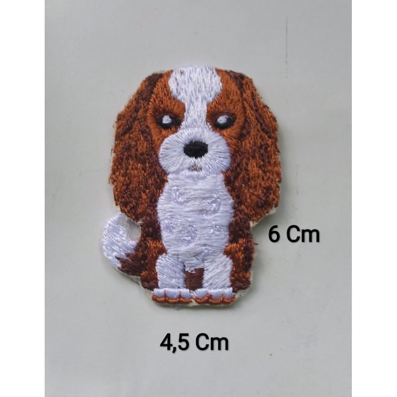 Jual cavalier best sale king charles spaniel