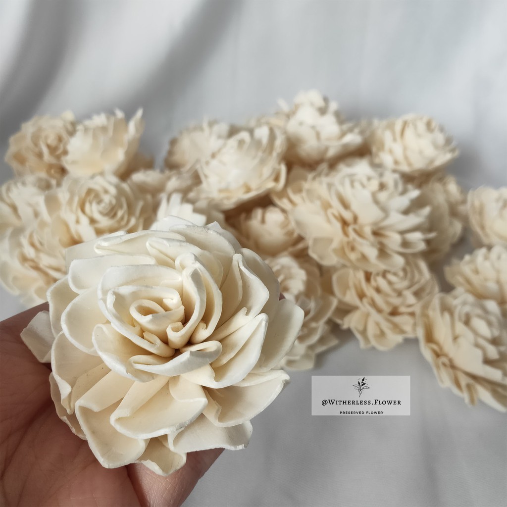Jual Bunga Sola Wood Flowers 6 CM / Bunga Kayu | Shopee Indonesia