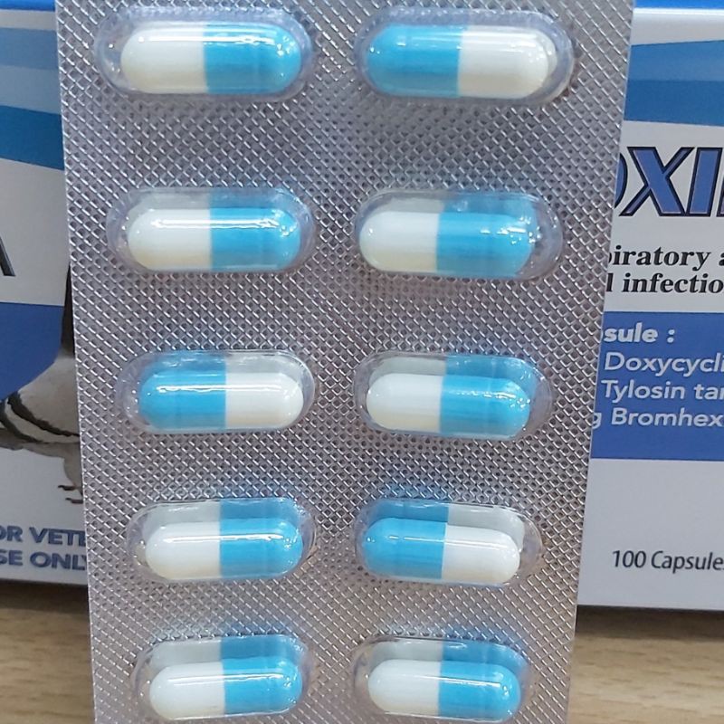 Jual Antibiotik Burung Doxina Extra 100 Tablet Anti inflamasi ...