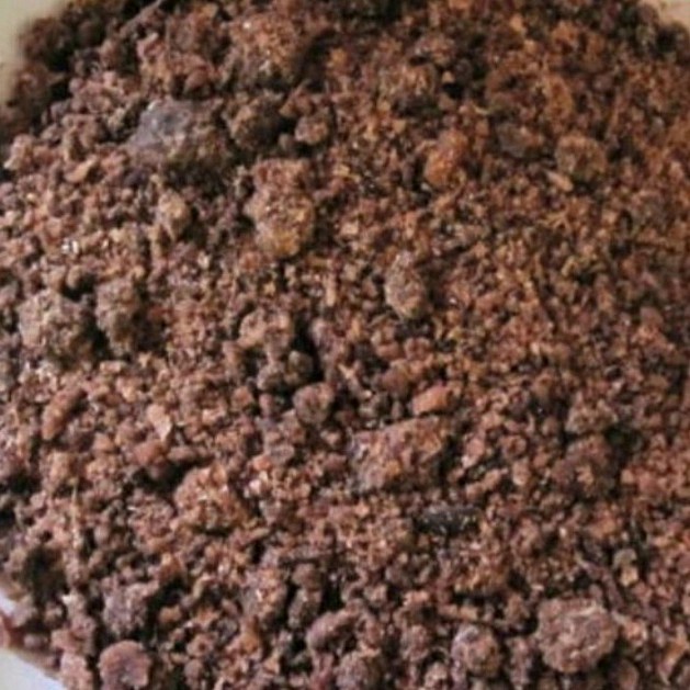 Keluarga Aceh menikmati Kuah Pliek Ue bersama