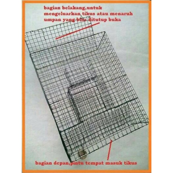 Jual Perangkap / Jebakan Tikus, cecurut, massal, besar, mudah digunakan ...